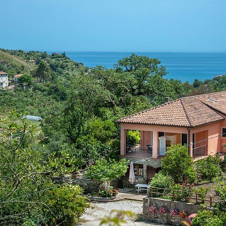 Bed and Breakfast Il Melograno Pollica Exterior foto