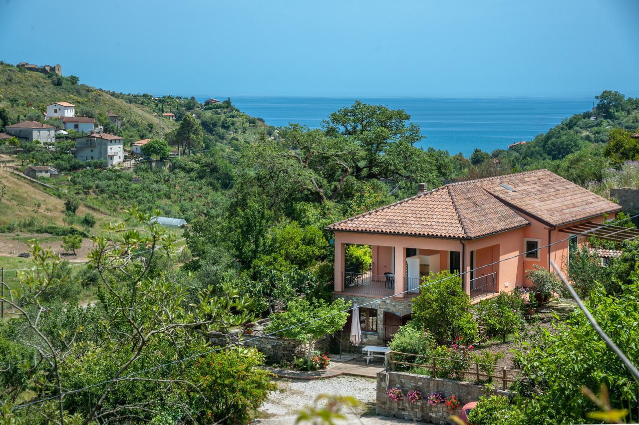 Bed and Breakfast Il Melograno Pollica Exterior foto